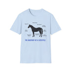 The Anatomy Of A Lifestyle T-Shirt