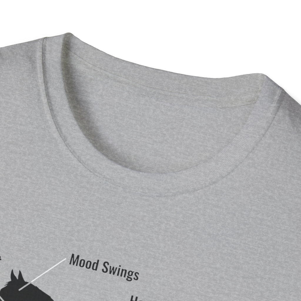 The Anatomy Of A Lifestyle T-Shirt