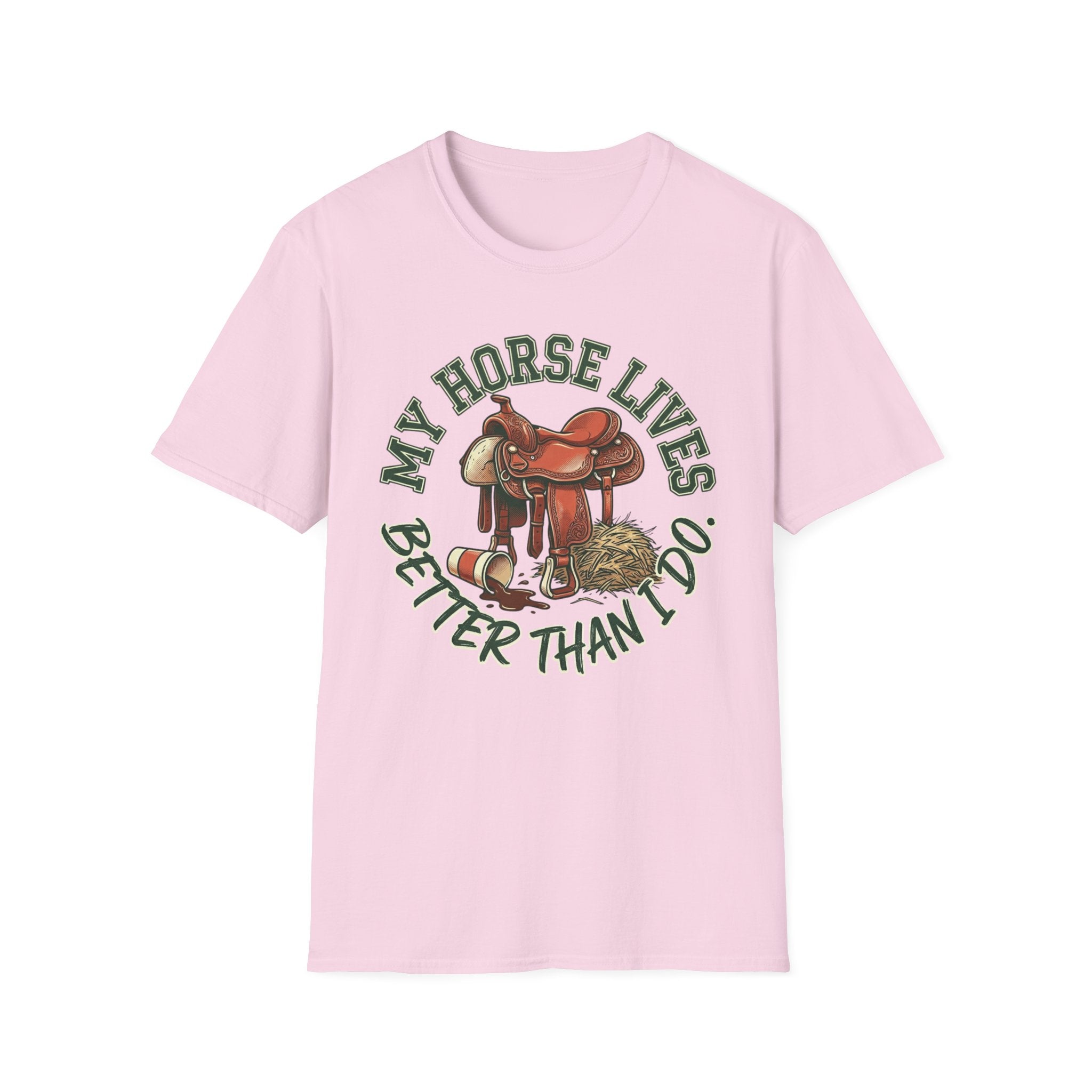 My Horse Lives Better Than I Do